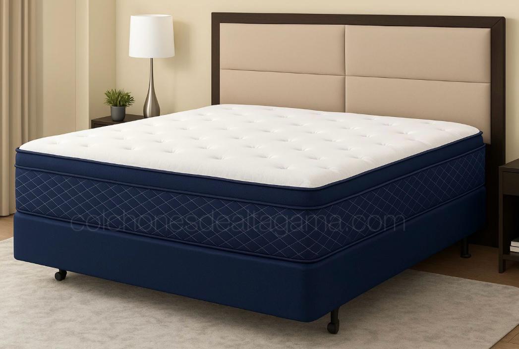 Modelo Alexander Mid Support