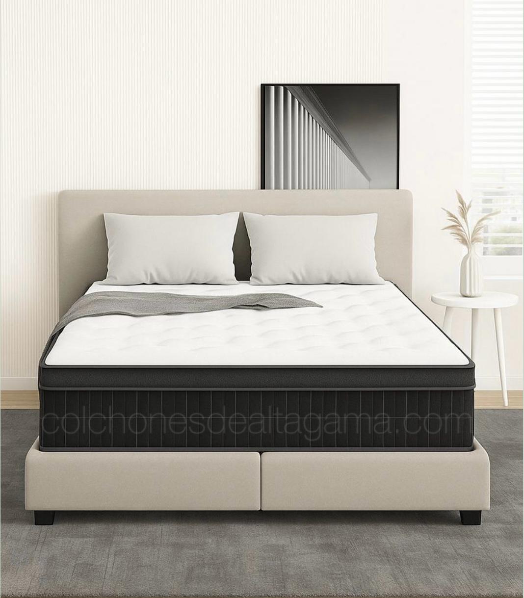 Modelo Eros Max Support